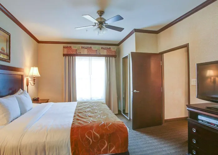 Comfort Suites University Drive